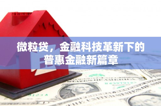利通微粒贷，金融科技革新下的普惠金融新篇章