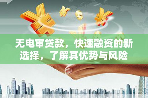 利通无电审贷款，快速融资的新选择，了解其优势与风险