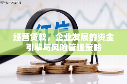 利通经营贷款，企业发展的资金引擎与风险管理策略