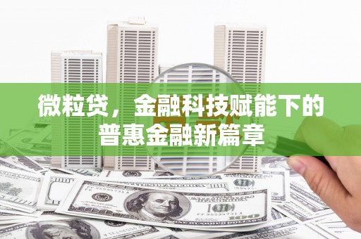 利通微粒贷，金融科技赋能下的普惠金融新篇章