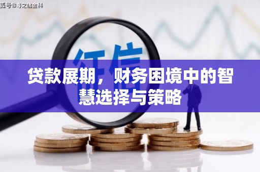 利通贷款展期，财务困境中的智慧选择与策略