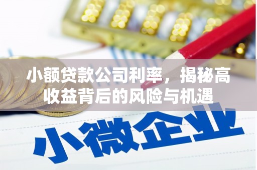 利通小额贷款公司利率，揭秘高收益背后的风险与机遇