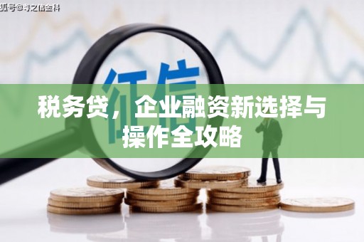 利通税务贷，企业融资新选择与操作全攻略