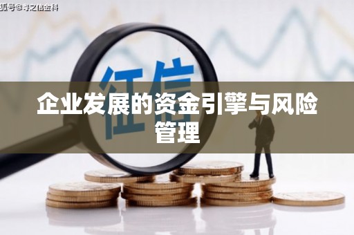 利通企业发展的资金引擎与风险管理