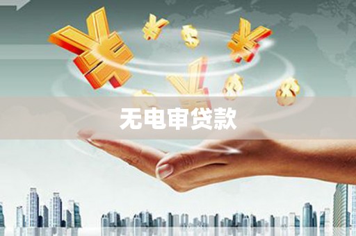 利通无电审贷款