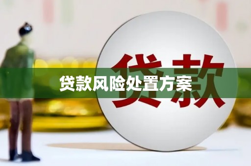 利通贷款风险处置方案