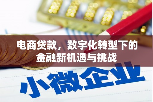 利通电商贷款，数字化转型下的金融新机遇与挑战