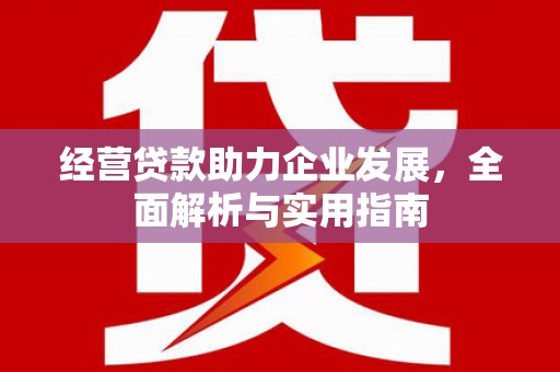 利通经营贷款助力企业发展，全面解析与实用指南