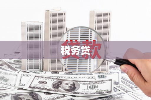 利通税务贷
