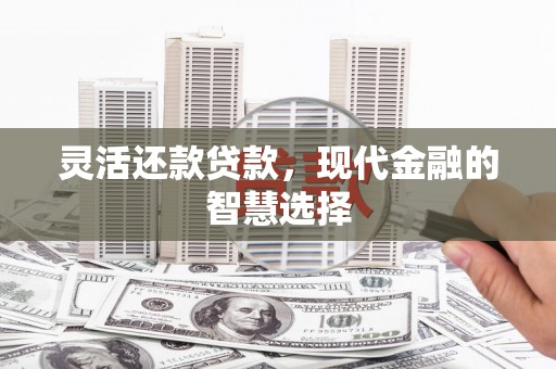 利通灵活还款贷款，现代金融的智慧选择
