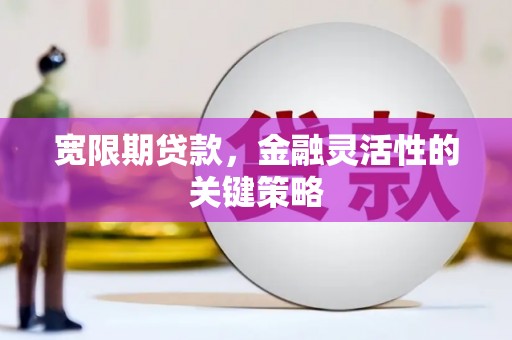利通宽限期贷款，金融灵活性的关键策略
