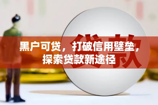 利通黑户可贷，打破信用壁垒，探索贷款新途径