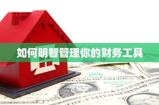 利通如何明智管理你的财务工具