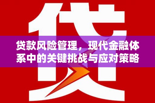 利通贷款风险管理，现代金融体系中的关键挑战与应对策略