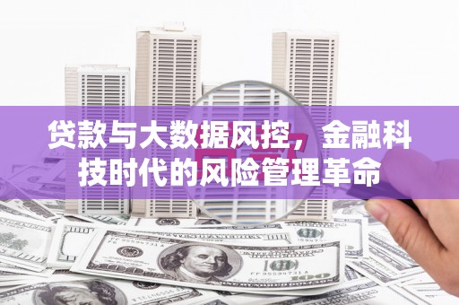 利通贷款与大数据风控，金融科技时代的风险管理革命