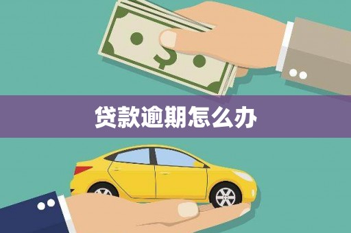 利通贷款逾期怎么办