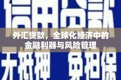利通外汇贷款，全球化经济中的金融利器与风险管理