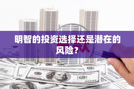 利通明智的投资选择还是潜在的风险？