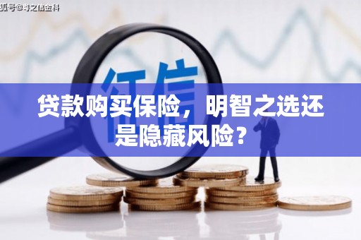 利通贷款购买保险，明智之选还是隐藏风险？