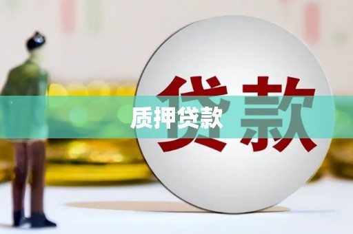 利通质押贷款