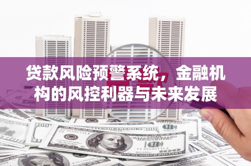 利通贷款风险预警系统，金融机构的风控利器与未来发展