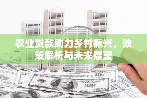 利通农业贷款助力乡村振兴，政策解析与未来展望