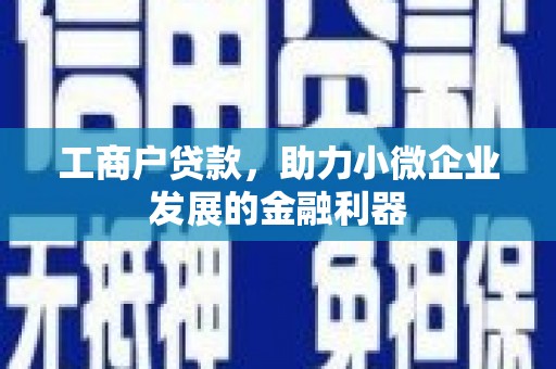 利通工商户贷款，助力小微企业发展的金融利器