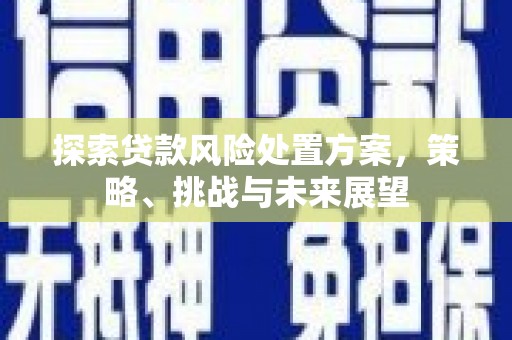 利通探索贷款风险处置方案，策略、挑战与未来展望