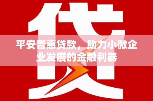 利通平安普惠贷款，助力小微企业发展的金融利器