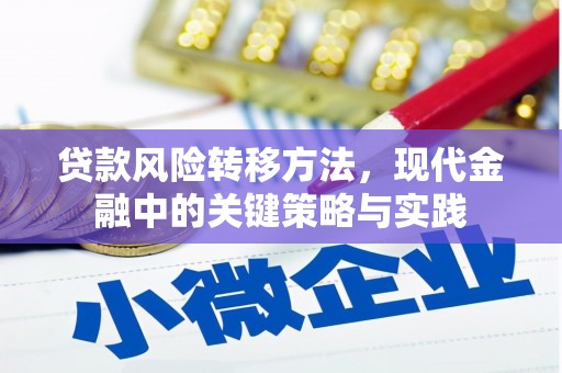 利通贷款风险转移方法，现代金融中的关键策略与实践
