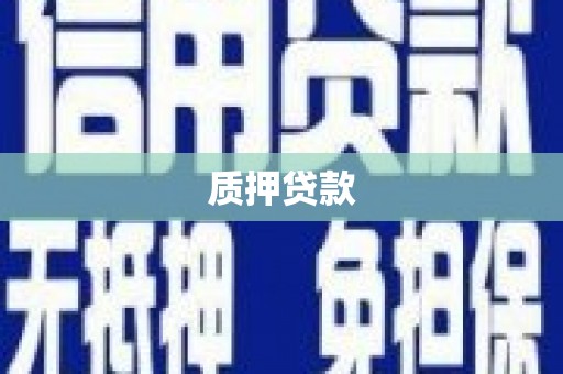 利通质押贷款