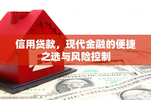 利通信用贷款，现代金融的便捷之选与风险控制