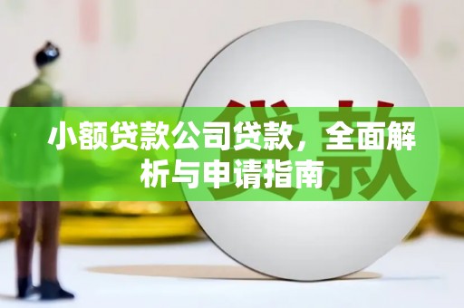 利通小额贷款公司贷款，全面解析与申请指南