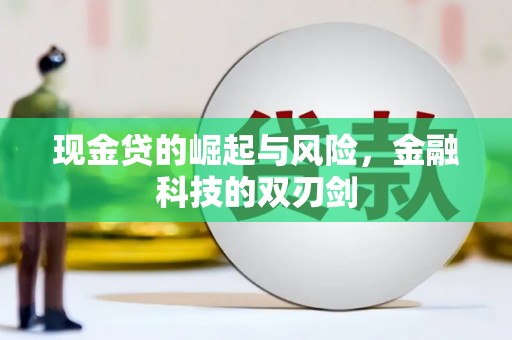 利通现金贷的崛起与风险，金融科技的双刃剑