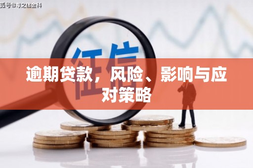 利通逾期贷款，风险、影响与应对策略