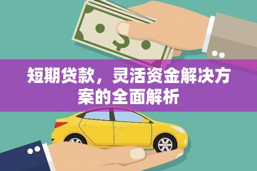 利通短期贷款，灵活资金解决方案的全面解析