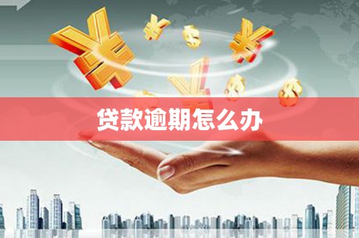 利通贷款逾期怎么办