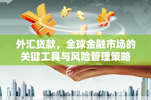 利通外汇贷款，全球金融市场的关键工具与风险管理策略