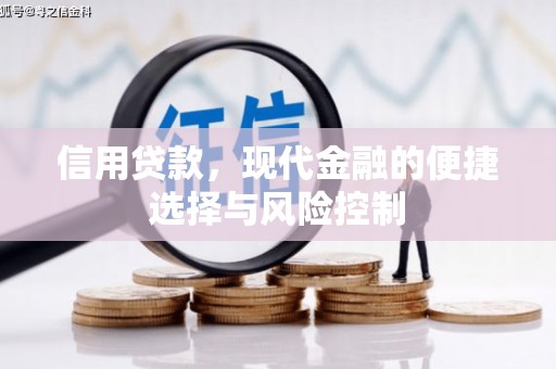 利通信用贷款，现代金融的便捷选择与风险控制