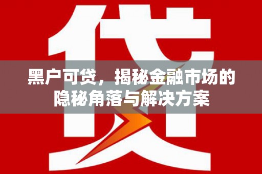 利通黑户可贷，揭秘金融市场的隐秘角落与解决方案