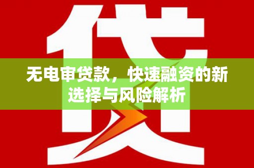 利通无电审贷款，快速融资的新选择与风险解析