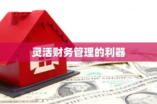 利通灵活财务管理的利器