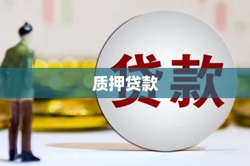 利通质押贷款