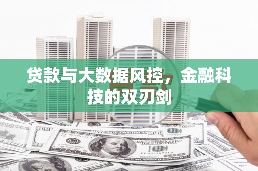 利通贷款与大数据风控，金融科技的双刃剑