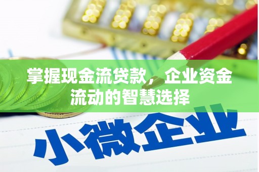 利通掌握现金流贷款，企业资金流动的智慧选择