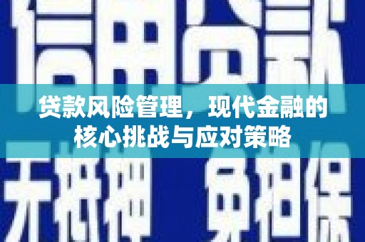 利通贷款风险管理，现代金融的核心挑战与应对策略