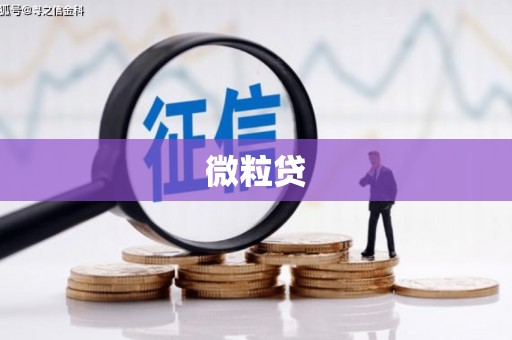 利通微粒贷