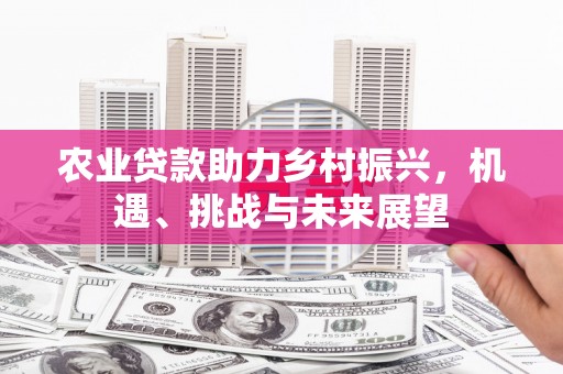 利通农业贷款助力乡村振兴，机遇、挑战与未来展望