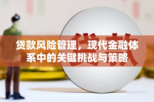 利通贷款风险管理，现代金融体系中的关键挑战与策略