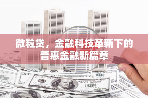 利通微粒贷，金融科技革新下的普惠金融新篇章